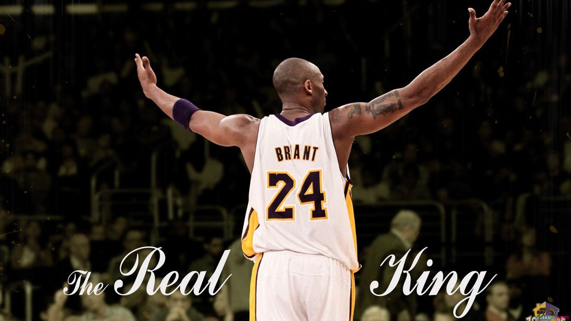 勇士队用团队篮球书写佳话，勇士队用团队篮球书写佳话是哪一集