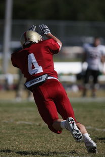 米兰体育入口-德甲球队视频分析辅助防守站位调整的实证研究，德甲身体对抗